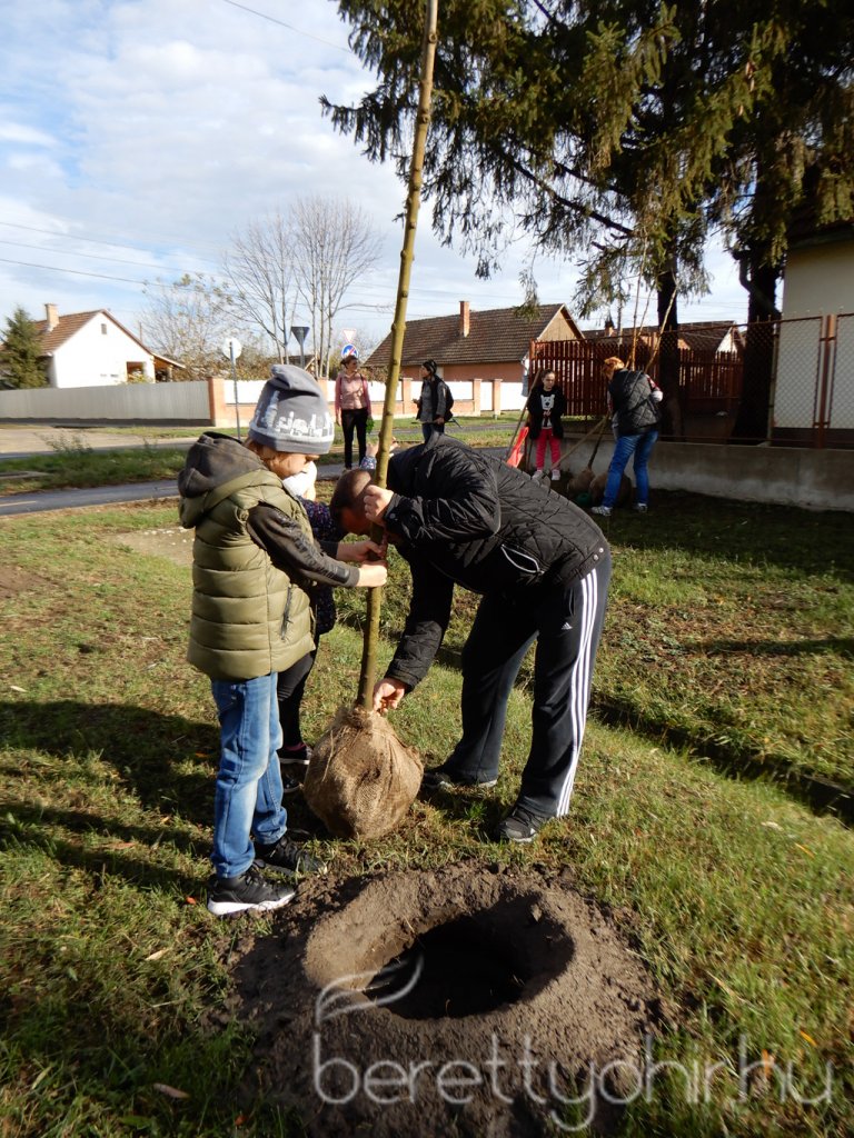 Közösségi faültetés Berettyóújfaluban 03